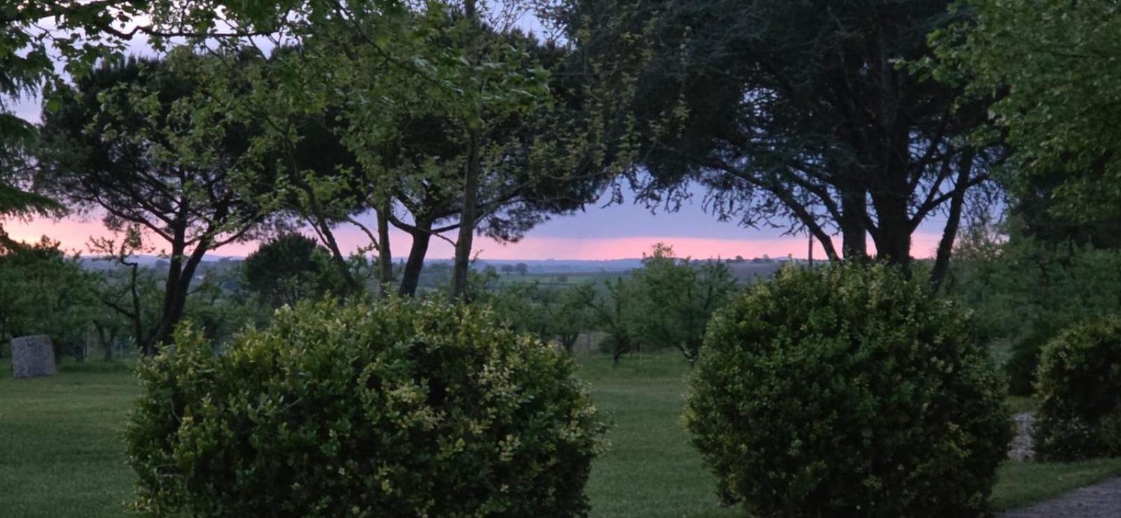 Gite De Beausoleil La Romieu Exteriér fotografie